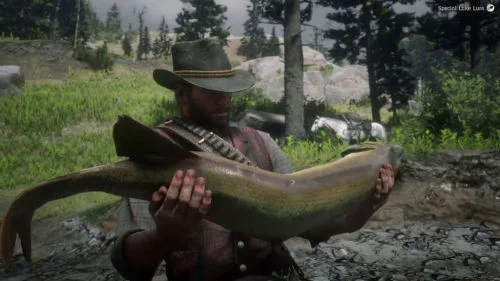 you sir are a fish Blank Meme Template