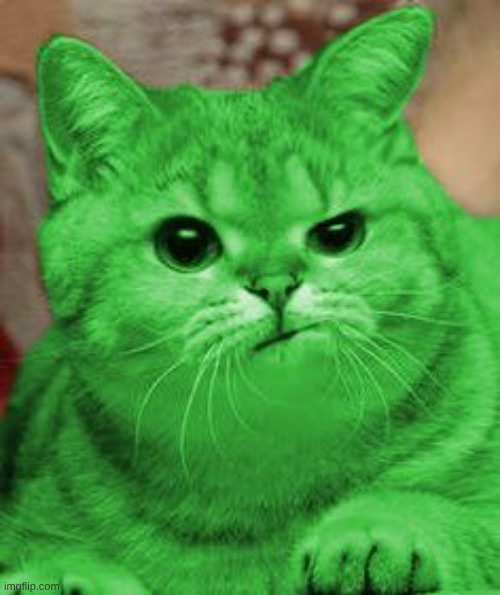 RayCat Annoyed | image tagged in raycat annoyed | made w/ Imgflip meme maker