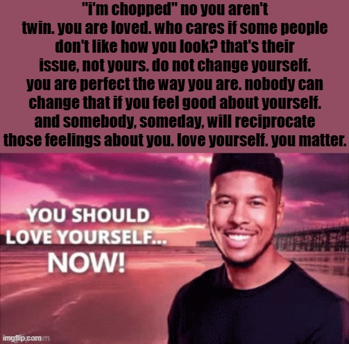 hopepost | "i'm chopped" no you aren't twin. you are loved. who cares if some people don't like how you look? that's their issue, not yours. do not change yourself. you are perfect the way you are. nobody can change that if you feel good about yourself. and somebody, someday, will reciprocate those feelings about you. love yourself. you matter. | image tagged in you should love yourself now | made w/ Imgflip meme maker