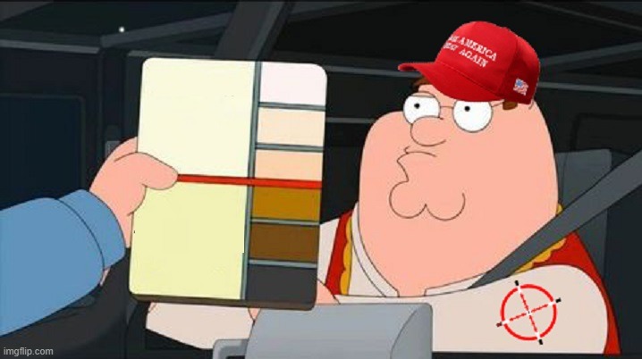 MAGA Racist Blank | image tagged in maga racist blank | made w/ Imgflip meme maker