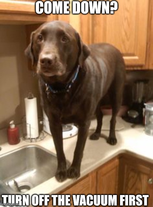 Come Down? | COME DOWN? TURN OFF THE VACUUM FIRST | image tagged in chrisjoines1 | made w/ Imgflip meme maker