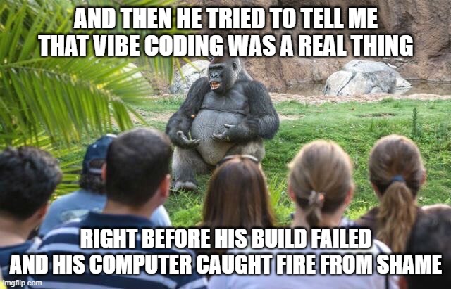 Sr Software Dev Gorilla | AND THEN HE TRIED TO TELL ME THAT VIBE CODING WAS A REAL THING; RIGHT BEFORE HIS BUILD FAILED AND HIS COMPUTER CAUGHT FIRE FROM SHAME | image tagged in lecturing gorilla,software,development,vibe coding | made w/ Imgflip meme maker