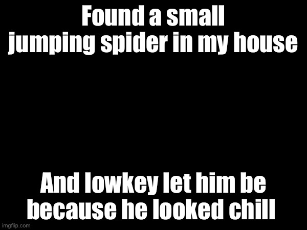 Hopefully he doesn't crawl into my ear | Found a small jumping spider in my house; And lowkey let him be because he looked chill | image tagged in spiders,chill guy | made w/ Imgflip meme maker