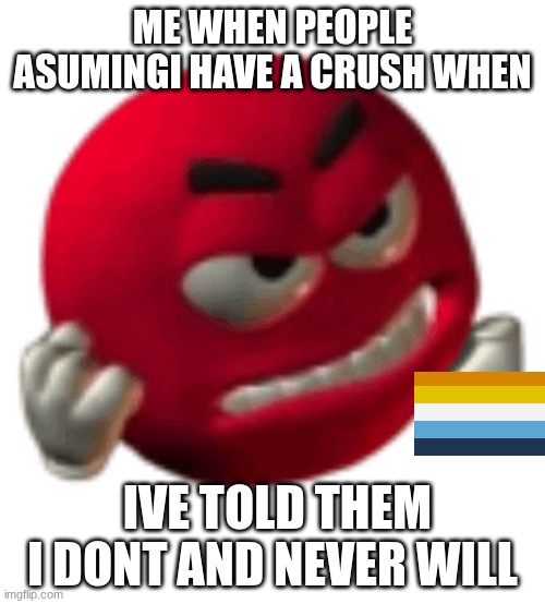 NO I DONT | ME WHEN PEOPLE ASUMINGI HAVE A CRUSH WHEN; IVE TOLD THEM I DONT AND NEVER WILL | image tagged in grrr,aroace | made w/ Imgflip meme maker