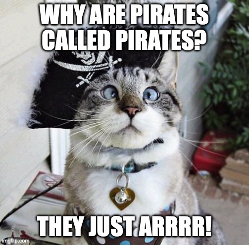 Cat-dat Jokes | WHY ARE PIRATES CALLED PIRATES? THEY JUST ARRRR! | image tagged in spangles,dad joke,pirate,jack sparrow,existentialism | made w/ Imgflip meme maker