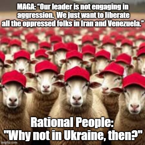 Trump Liberates Iran | MAGA: “Our leader is not engaging in  aggression.  We just want to liberate all the oppressed folks in Iran and Venezuela.”; Rational People:  "Why not in Ukraine, then?" | image tagged in donald trump memes,maga,sheeple,stupid sheep,brain dead,nevertrump | made w/ Imgflip meme maker