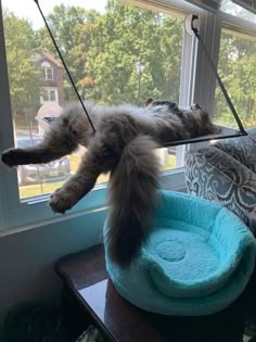 Chrisjoines1 Blank Meme Template