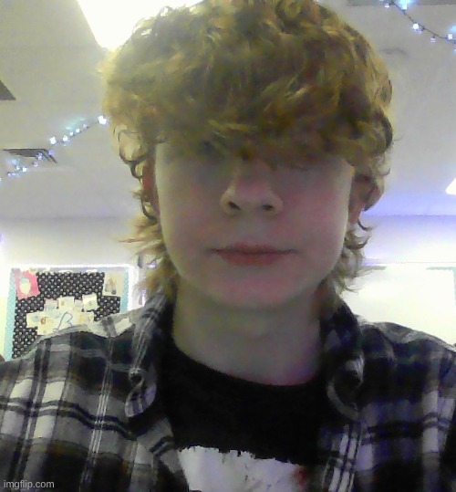 should I get a wolf cut | made w/ Imgflip meme maker