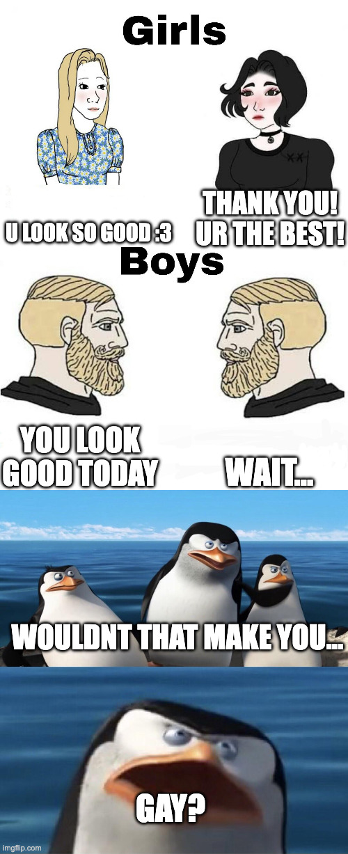 i gues i put a title here or smth | U LOOK SO GOOD :3; THANK YOU! UR THE BEST! WAIT... YOU LOOK GOOD TODAY; WOULDNT THAT MAKE YOU... GAY? | image tagged in girls vs boys,wouldn't that make you | made w/ Imgflip meme maker
