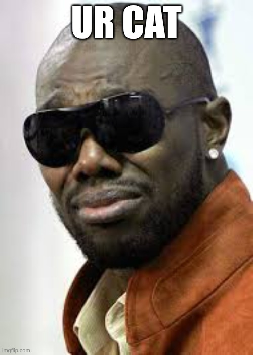 That's My Quarterback | UR CAT | image tagged in that's my quarterback | made w/ Imgflip meme maker