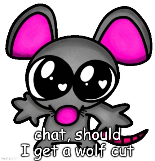 me :3 | chat, should I get a wolf cut | image tagged in me 3 | made w/ Imgflip meme maker