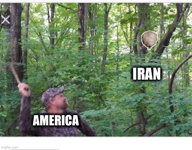 IRAN; AMERICA | image tagged in memes | made w/ Imgflip meme maker