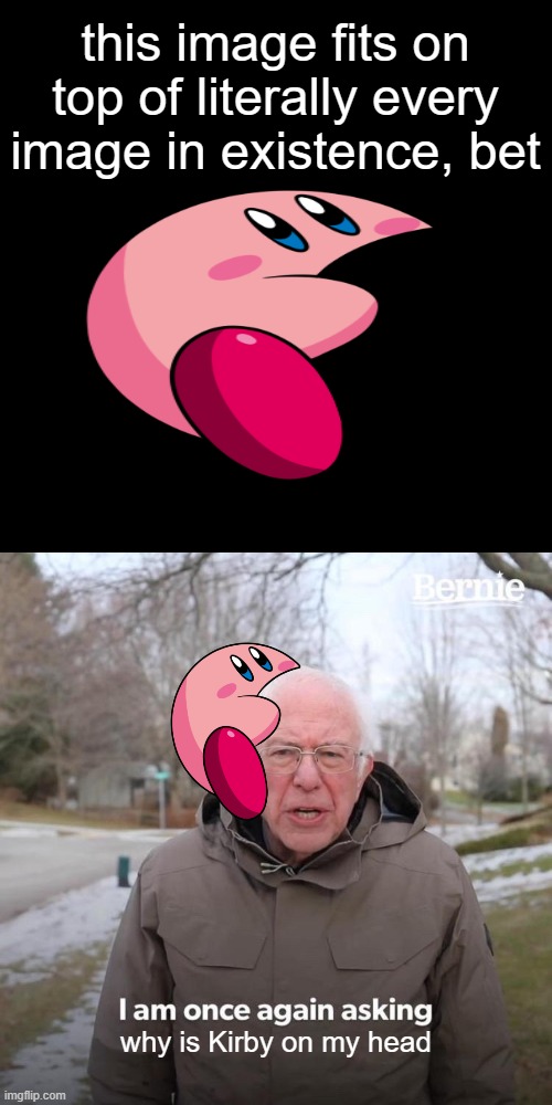 Kirby fits on all images | this image fits on top of literally every image in existence, bet; why is Kirby on my head | image tagged in memes,bernie i am once again asking for your support,melon kirby,kirby,funny,bernie sanders | made w/ Imgflip meme maker