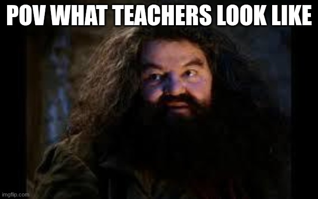 hagrid yer a wizard | POV WHAT TEACHERS LOOK LIKE | image tagged in hagrid yer a wizard | made w/ Imgflip meme maker