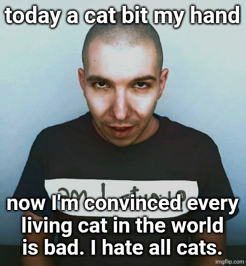 two steps ahead | today a cat bit my hand; now I'm convinced every
living cat in the world
is bad. I hate all cats. | image tagged in two steps ahead | made w/ Imgflip meme maker