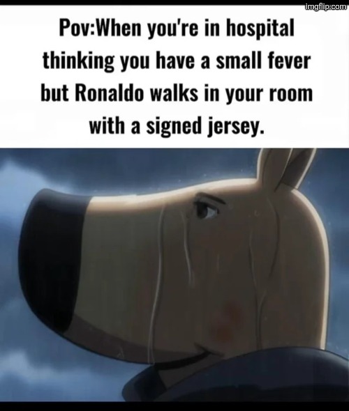 image tagged in msmg | made w/ Imgflip meme maker