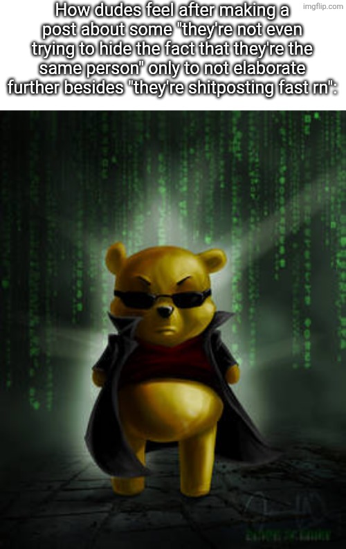 The Matrix Winnie the Pooh | How dudes feel after making a post about some "they're not even trying to hide the fact that they're the same person" only to not elaborate further besides "they're shitposting fast rn": | image tagged in the matrix winnie the pooh,msmg | made w/ Imgflip meme maker