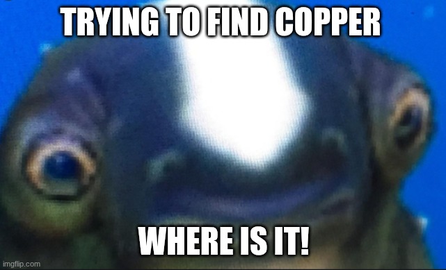 Subnautica meme | TRYING TO FIND COPPER; WHERE IS IT! | image tagged in subnautica seamoth cuddlefish | made w/ Imgflip meme maker