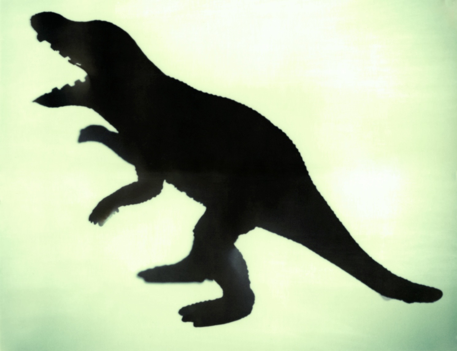 Ditto Mirror Image Mode Blank Meme Template