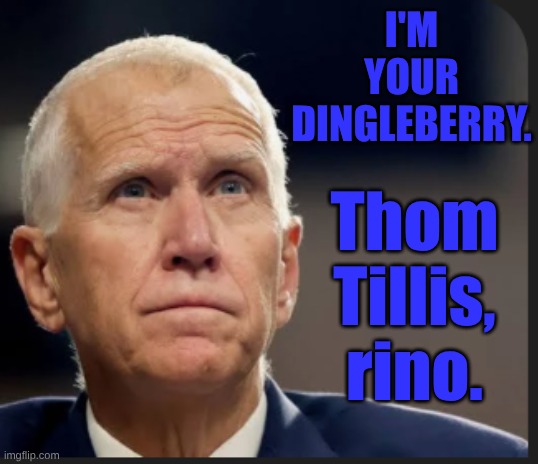 thom tillis | I'M YOUR DINGLEBERRY. Thom Tillis, rino. | image tagged in rino | made w/ Imgflip meme maker