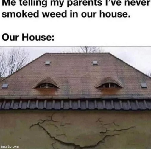 Lol | image tagged in lol | made w/ Imgflip meme maker