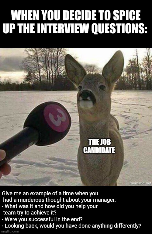 Deer interviewed | WHEN YOU DECIDE TO SPICE UP THE INTERVIEW QUESTIONS:; THE JOB CANDIDATE; Give me an example of a time when you
 had a murderous thought about your manager.
- What was it and how did you help your
 team try to achieve it?
- Were you successful in the end? 
- Looking back, would you have done anything differently? | image tagged in deer interviewed | made w/ Imgflip meme maker