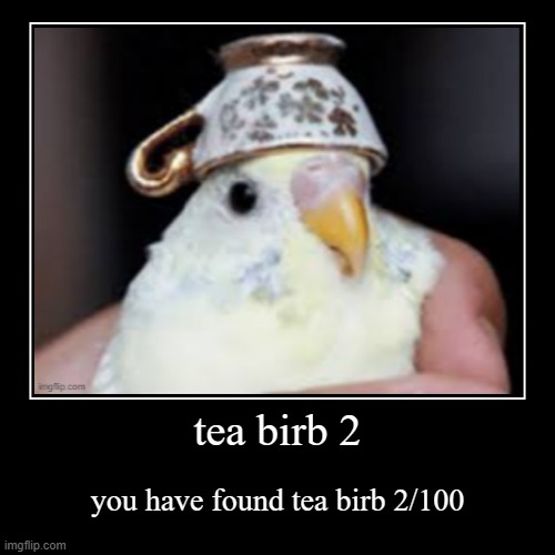 tea birb 2 | you have found tea birb 2/100 | image tagged in tea birb,tea birb _/100,cute | made w/ Imgflip demotivational maker