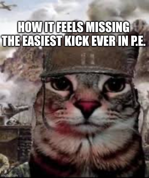</3 | HOW IT FEELS MISSING THE EASIEST KICK EVER IN P.E. | image tagged in 1000 yard stare cat | made w/ Imgflip meme maker