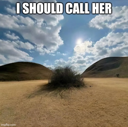 I should call her | I SHOULD CALL HER | image tagged in sex jokes | made w/ Imgflip meme maker