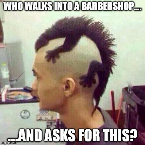 What the.... | WHO WALKS INTO A BARBERSHOP.... ....AND ASKS FOR THIS? | image tagged in memes,funny,hair | made w/ Imgflip meme maker