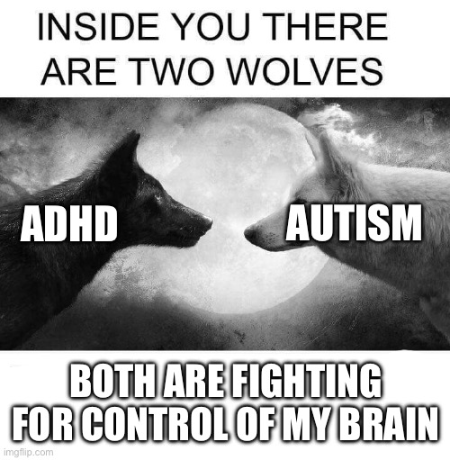AuDHD | AUTISM; ADHD; BOTH ARE FIGHTING FOR CONTROL OF MY BRAIN | image tagged in inside you there are two wolves | made w/ Imgflip meme maker