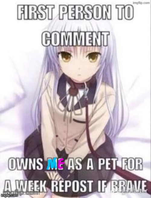 first person to comment owns as a pet for a week | image tagged in first person to comment owns as a pet for a week | made w/ Imgflip meme maker