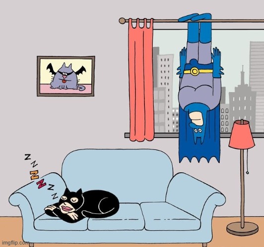 Catwoman and Batman at Home | image tagged in comics | made w/ Imgflip meme maker