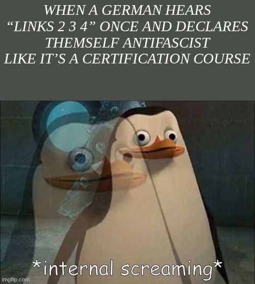 Private Internal Screaming | WHEN A GERMAN HEARS “LINKS 2 3 4” ONCE AND DECLARES THEMSELF ANTIFASCIST LIKE IT’S A CERTIFICATION COURSE | image tagged in private internal screaming | made w/ Imgflip meme maker