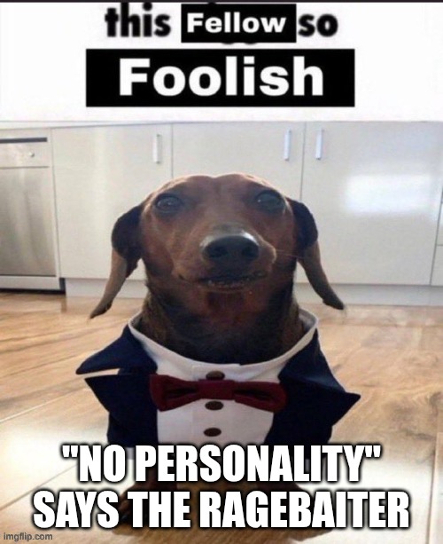 This fellow so foolish | "NO PERSONALITY" SAYS THE RAGEBAITER | image tagged in this fellow so foolish | made w/ Imgflip meme maker