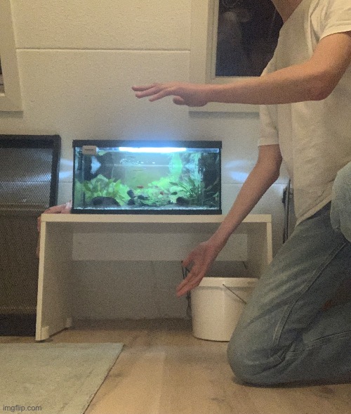 I love moving my stuff like look how heavenly this is | image tagged in lol | made w/ Imgflip meme maker