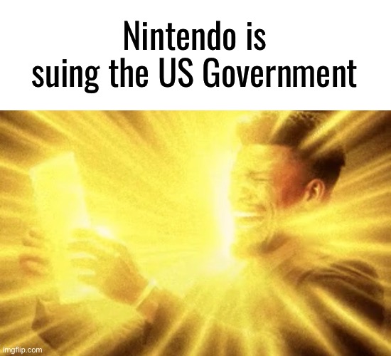 FIRST W NINTENDO LEGAL MOVE | Nintendo is suing the US Government | made w/ Imgflip meme maker
