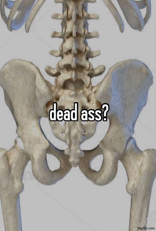 Dead ass? | image tagged in dead ass | made w/ Imgflip meme maker