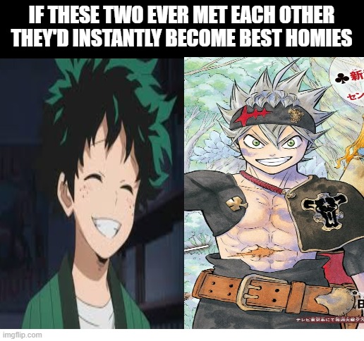 i love both BNHA and Black Clover | IF THESE TWO EVER MET EACH OTHER THEY'D INSTANTLY BECOME BEST HOMIES | image tagged in mha,black clover,memes,funny,shonen anime,anime | made w/ Imgflip meme maker