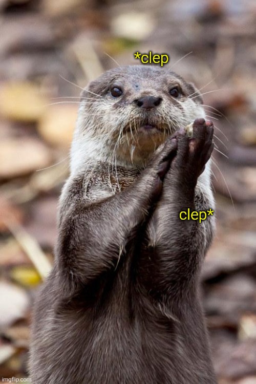 Slow-Clap Otter | *clep clep* | image tagged in slow-clap otter | made w/ Imgflip meme maker