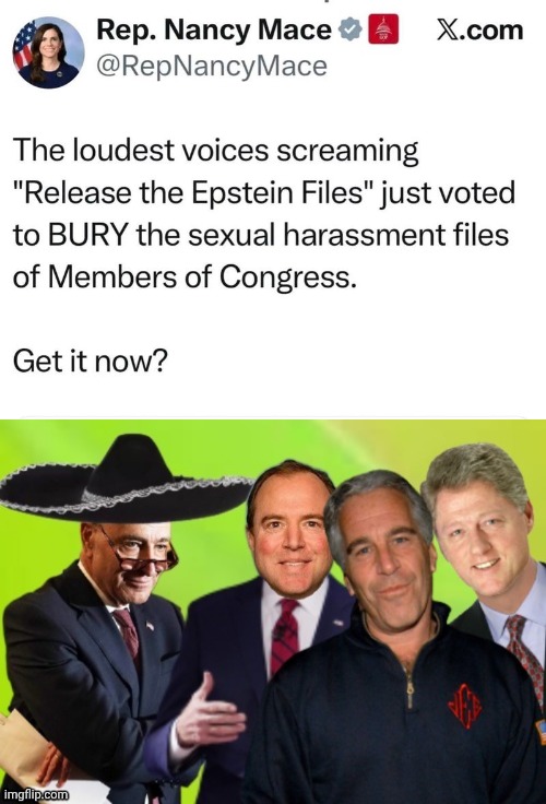 Demorhhoid hypocrites | image tagged in epstein islanders,hypocrisy,sexual harassment | made w/ Imgflip meme maker