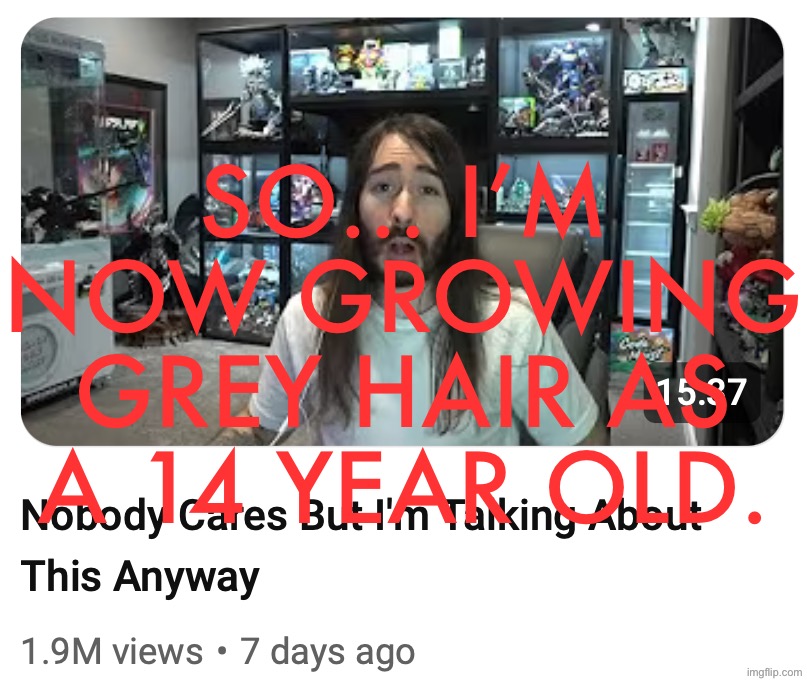 Nobody cares but I'm talking about this anyway | SO… I’M NOW GROWING GREY HAIR AS A 14 YEAR OLD. | image tagged in nobody cares but i'm talking about this anyway | made w/ Imgflip meme maker