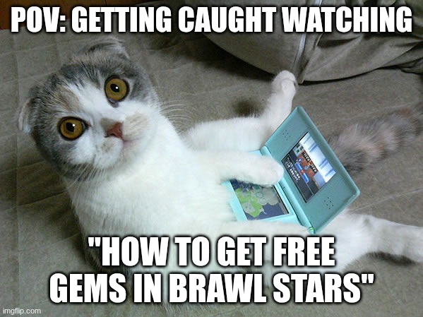 Cats W/ Computers | POV: GETTING CAUGHT WATCHING; "HOW TO GET FREE GEMS IN BRAWL STARS" | image tagged in cats w/ computers | made w/ Imgflip meme maker