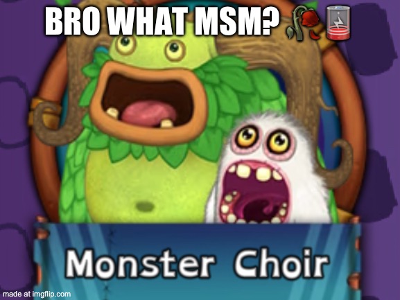BRO WHAT MSM? ?? | made w/ Imgflip meme maker