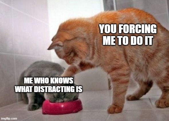 Force feed cat | YOU FORCING ME TO DO IT ME WHO KNOWS WHAT DISTRACTING IS | image tagged in force feed cat | made w/ Imgflip meme maker