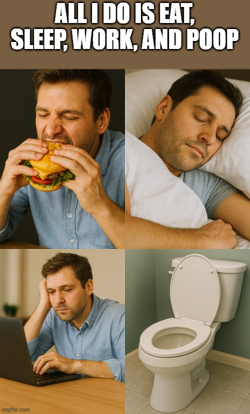 Eat, Sleep, Work, And Poop | ALL I DO IS EAT, SLEEP, WORK, AND POOP | image tagged in eating,sleeping,working,toilet,funny,memes | made w/ Imgflip meme maker