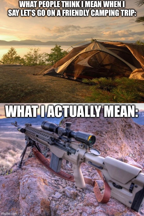 Friendly Camping trip | WHAT PEOPLE THINK I MEAN WHEN I SAY LET’S GO ON A FRIENDLY CAMPING TRIP:; WHAT I ACTUALLY MEAN: | image tagged in gaming | made w/ Imgflip meme maker
