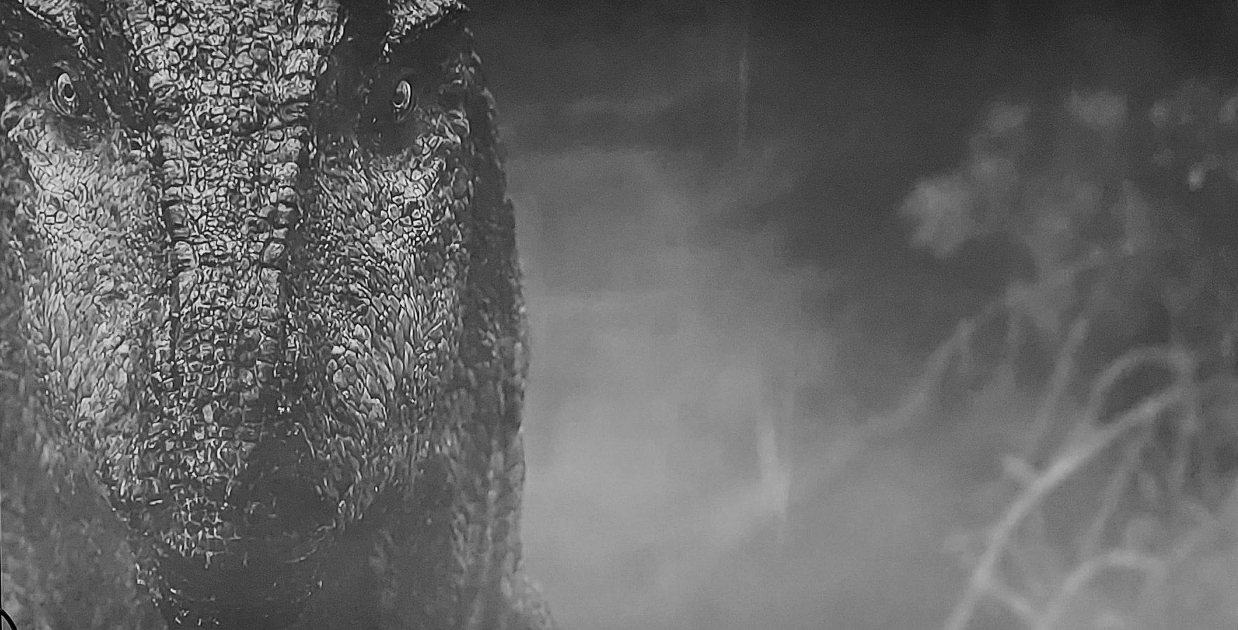 Allosaurus black and white Blank Meme Template