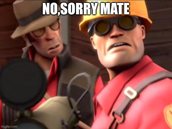 NO,SORRY MATE | made w/ Imgflip meme maker