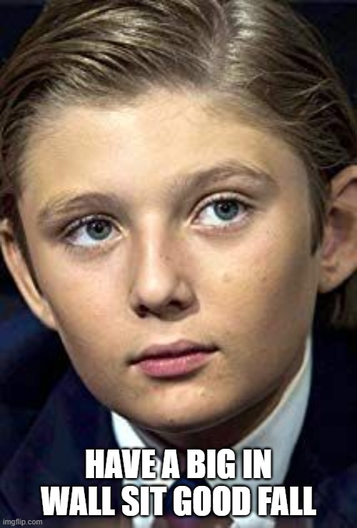 Barron Trump | HAVE A BIG IN WALL SIT GOOD FALL | image tagged in barron trump | made w/ Imgflip meme maker